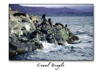 Amplia Postales de Ushuaia