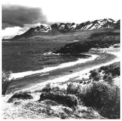 Canal Beagle