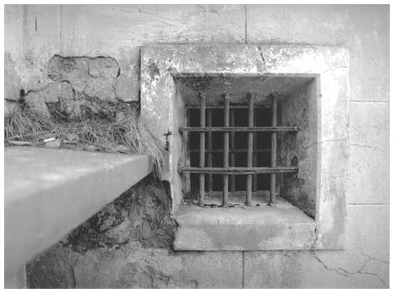 Ventana de celda