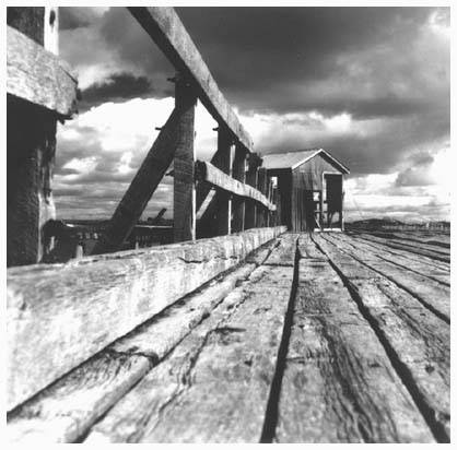 Antiguo muelle