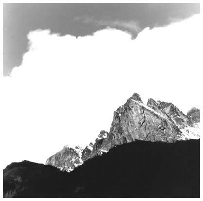 Monte Olivia
